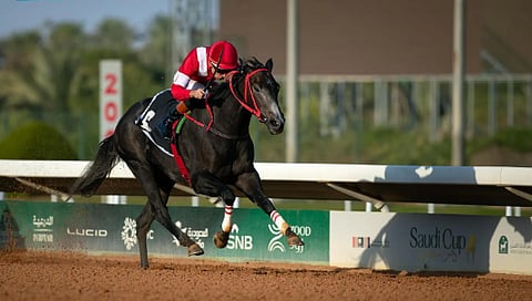 تنظيم منافسات الأسبوع السابع من موسم سباقات الفروسية بالرياض