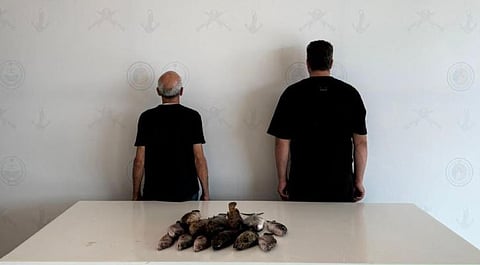 ضبط مخالفين سوريين للائحة الأمن والسلامة لمزاولي الأنشطة البحرية في جازان