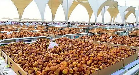 «الإحصاء»: إنتاج التمور في المملكة بلغ 1.923 ألف طن لعام 2024
