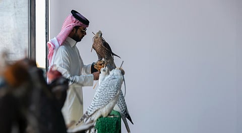 نادي الصقور السعودي يختتم مشروع توثيق ملكيات الصقور وتصحيح أوضاعها