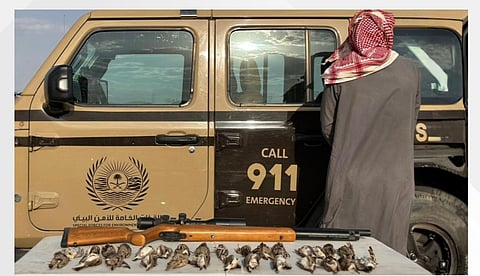 القبض على مخالف لنظام البيئة لارتكابه الصيد دون ترخيص في المدينة المنورة