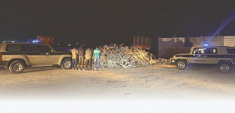 ضبط 4 مقيمين من الجنسية البنجلاديشية بحوزتهم حطب محلي في المنطقة الشرقية