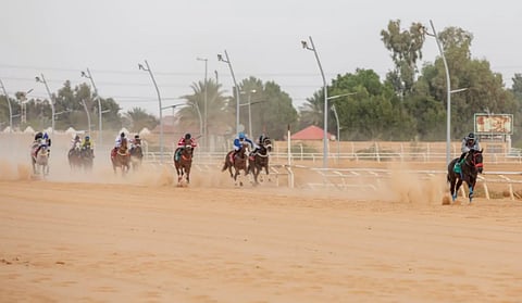  انطلاق موسم سباقات الفروسية بالجوف.. وتتويج 20 فائزًا
