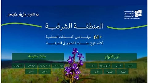 تحقق مستهدفات السعودية الخضراء.. أكثر من 61 نوعًا من النباتات المحلية ملائمة للتشجير في الشرقية