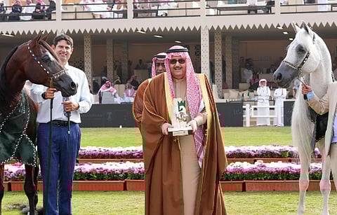اختتام عرض جمال الخيل العربية الأصيلة الدولي في الرياض