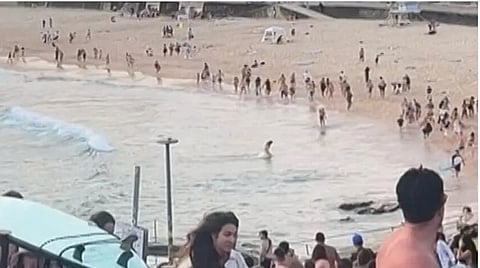 مقتل وإصابة العشرات في هجوم إرهابي على شاطئ بأستراليا