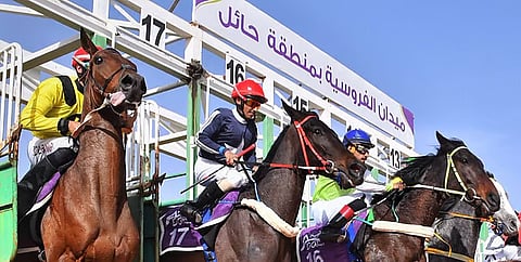 فعاليات ميدان فروسية حائل تُثري تجربة الزوار في التراث والترفيه