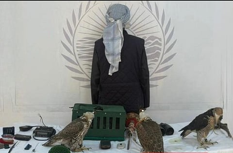 ضبط مواطن خليجي مخالف لنظام البيئة في محمية الإمام تركي بن عبدالله الملكية