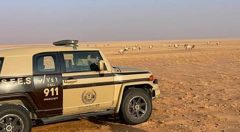 ضبط مواطن لارتكابه مخالفة رعي في محمية الإمام عبدالعزيز بن محمد الملكية