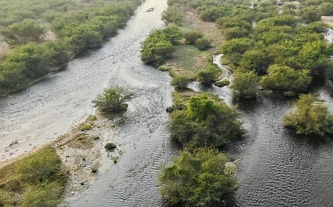 «وادي حلي».. حيث يلتقي التاريخ بالماء وتكتب الطبيعة سيرة المكان