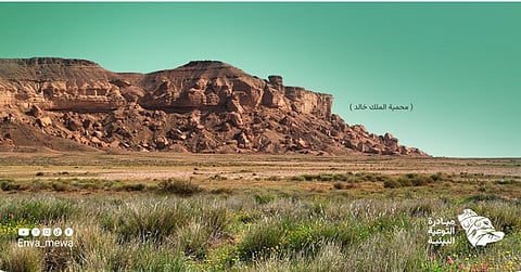 مبادرة التوعية البيئية تحث الزوار على الالتزام بالسلوك المسؤول في المحميات