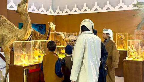 جناح إمارة القصيم في «واحة الأمن» يقدّم استشارات بيطرية لملاك الإبل