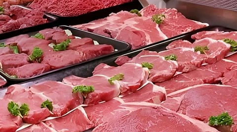 مختص: اللحوم المستوردة آمنة وخاضعة للرقابة