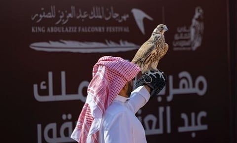 أكثر من 16 ألف صقر في 6 أعوام.. مهرجان الصقور يرسّخ مكانته بوصفه أكبر تجمع عالمي للصقارة