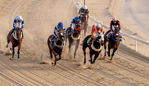  ميدان فروسية الجبيل يقيم حفل سباقه الثالث للموسم الحالي 1447هـ