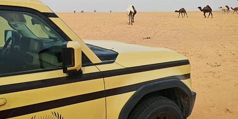 ضبط مواطنين لارتكابهما مخالفتي رعي وإشعال نار بمحميتي الملك عبدالعزيز والإمام فيصل بن تركي