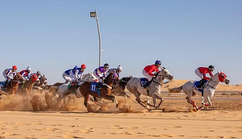  16 فائزًا في حفل السباقات الرابع بميدان الفروسية بالجوف