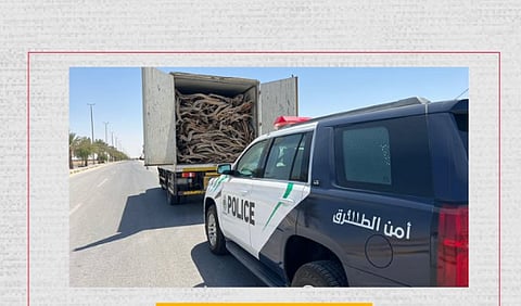 القوة الخاصة لأمن الطرق بالمنطقة الشرقية تضبط مخالفاً لنظام البيئة