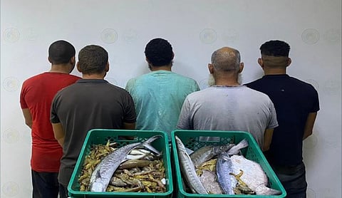 ضبط 5 مصريين مخالفين للائحة الأمن والسلامة لمزاولي الأنشطة البحرية بمكة المكرمة