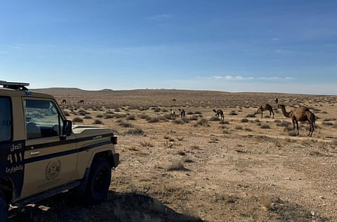 محمية الملك عبدالعزيز الملكية