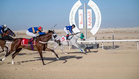 ميدان فروسية الجبيل يقيم سباقه الرابع للموسم الحالي 1447هـ
