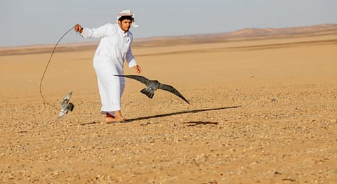 تنظيم فعالية مسابقة «هدد الصقور» في مهرجان شرورة الشتوي الثامن