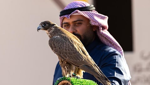 ختام منافسات الملاك الدوليين بمهرجان الملك عبدالعزيز للصقور 2025