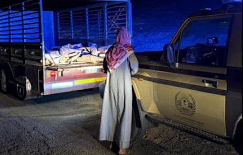 ضبط مخالف لنظام البيئة لنقله حطبًا محليًا بمحمية الأمير محمد بن سلمان الملكية