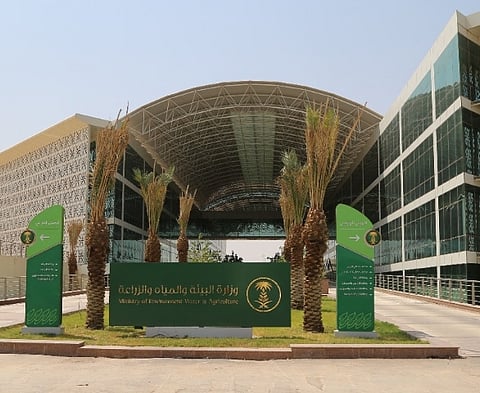 "بيئة الرياض" تضبط أكثر من 4 أطنان دواجن مجهولة المصدر