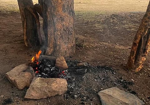 محمية الإمام فيصل بن تركي الملكية