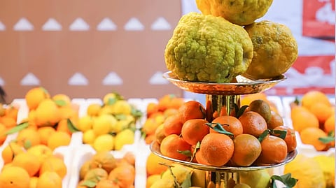 برعاية أمير الرياض.. انطلاق مهرجان "حمضيات الحريق" الأربعاء المقبل لدعم المزارعين المحليين