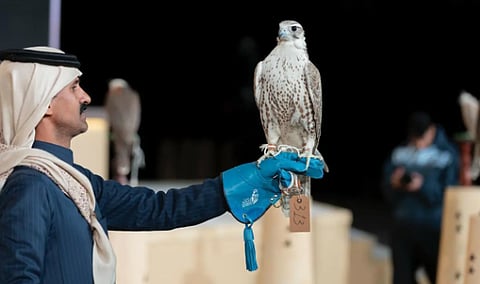 «مزاين الصقور» تختتم ثاني أيامها بـ3 أشواط في مهرجان الملك عبدالعزيز 2025