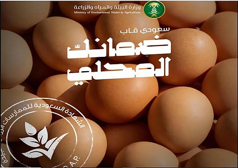 «البيئة»: 82% من إنتاج المملكة لبيض المائدة معتمد بشهادة «سعودي قاب»