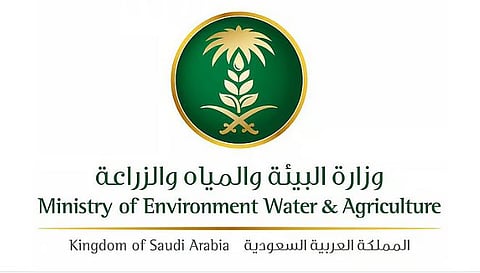 «أم القرى» تنشر قرار نقل مقر اللجنة الدائمة للوقاية من سوسة النخيل الحمراء ومكافحتها