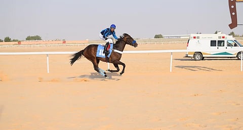 الأحساء تقيم الحفل الحادي عشر لسباق ميدان الفروسية
