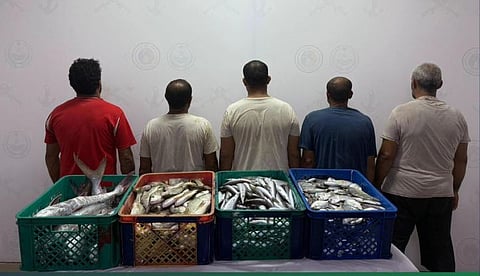 ضبط 5 مخالفين مصريين للائحة الأمن والسلامة لمزاولي الأنشطة البحرية في المملكة