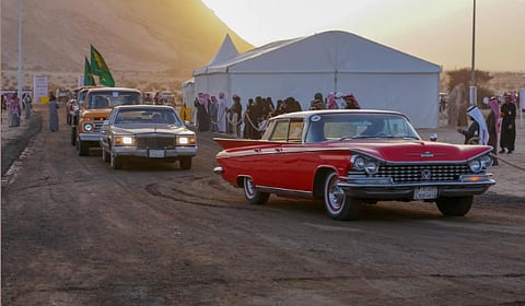 مهرجان «شتاء قطن» يواصل فعالياته ويستقطب الزوار بعقلة الصقور