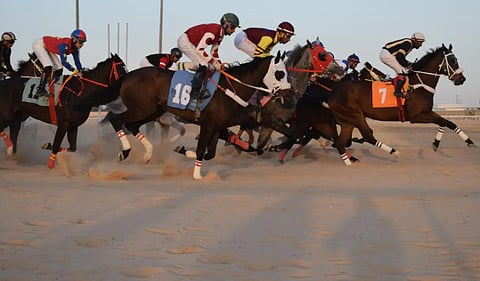 ميدان فروسية الأحساء يقيم الحفل الثاني عشر لسباقات الموسم 1447 هـ