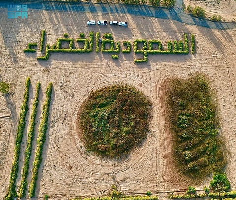 محمية النباتات البرية جنوب رفحاء.. وجهة بيئية تزدهر بالطبيعة وتستقطب الزوار