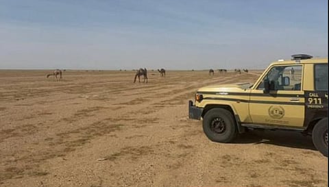 محمية الملك عبدالعزيز الملكية