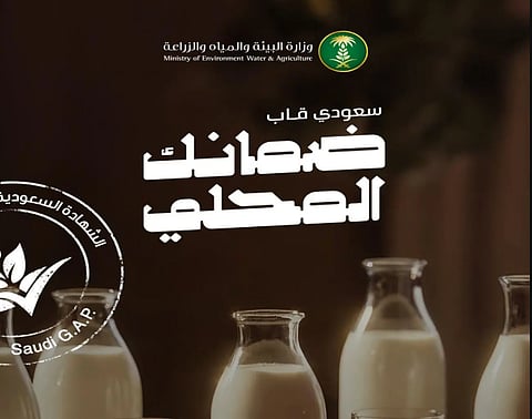«البيئة»: 95% من إنتاج المملكة من الحليب مغطى بعلامة «سعودي قاب»