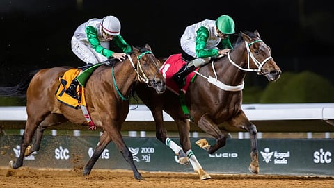 نادي سباقات الخيل ينظم منافسات الأسبوع الخامس عشر من موسم سباقات الرياض