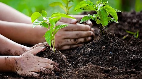 «الإرشاد الزراعي» توضح طرق حماية النباتات من الإجهاد بالشتاء