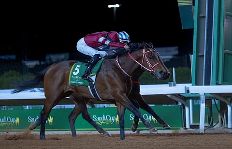 13 فبراير.. المملكة تستضيف كأس السعودية بمشاركة نخبة من أفضل الجياد والفرسان