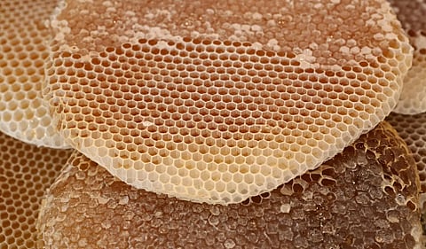  العسل والحنيذ.. نكهة تراثية تعكس هوية محايل عسير