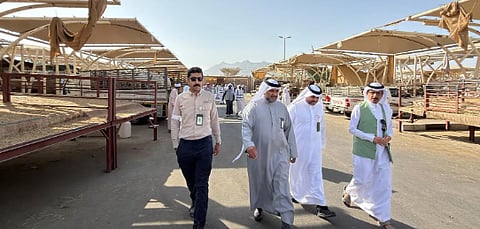 «بيئة نجران» تطلق حملة رقابية مكثفة استعدادًا لشهر رمضان