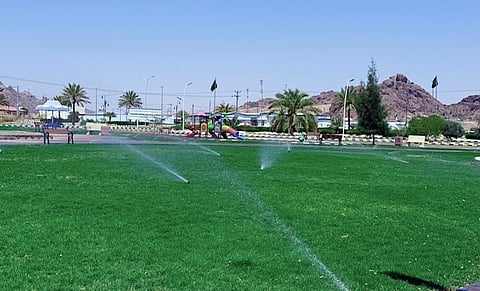 جائزة المدينة العربية الخضراء 