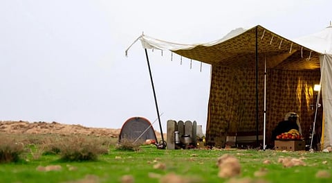 رصد مشاهد الربيع في المواقع البرية شرق محافظة رفحاء وانتعاش السياحة البيئية