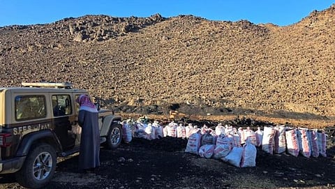 ضبط مواطن لارتكابه مخالفات اقتلاع الأشجار وحرقها في المدينة المنورة