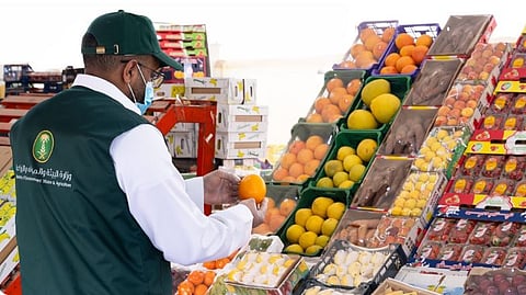 استعدادا لشهر رمضان.. «البيئة» تنفذ 6,281 جولة رقابية على أسواق النفع العام والمسالخ 